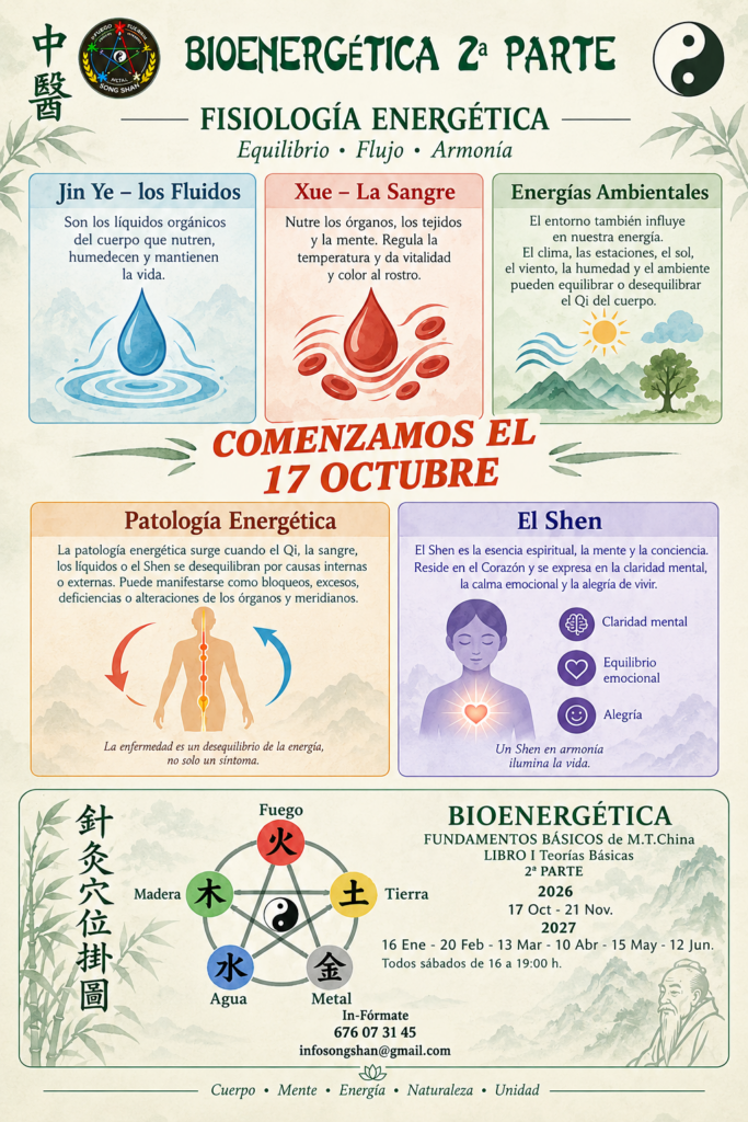 MTChina 2ªparte un buen avance